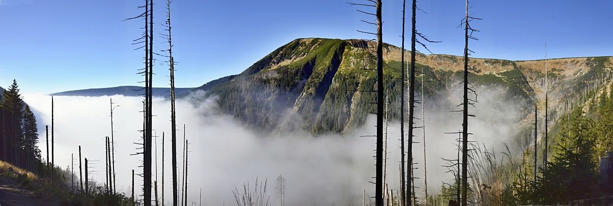 _DSC0219_panorama 1