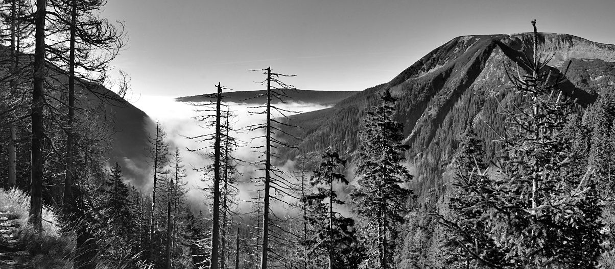 _DSC0255_hdr_panorama čb