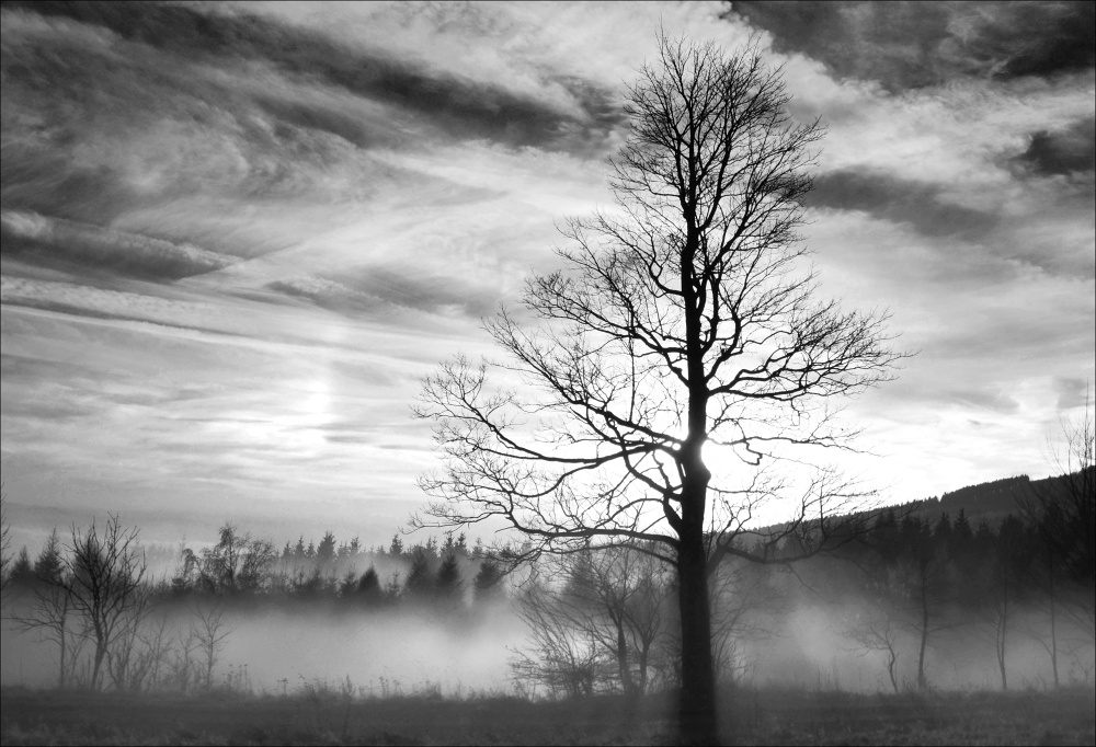 _DSC0037_hdr čb ořez 3 2