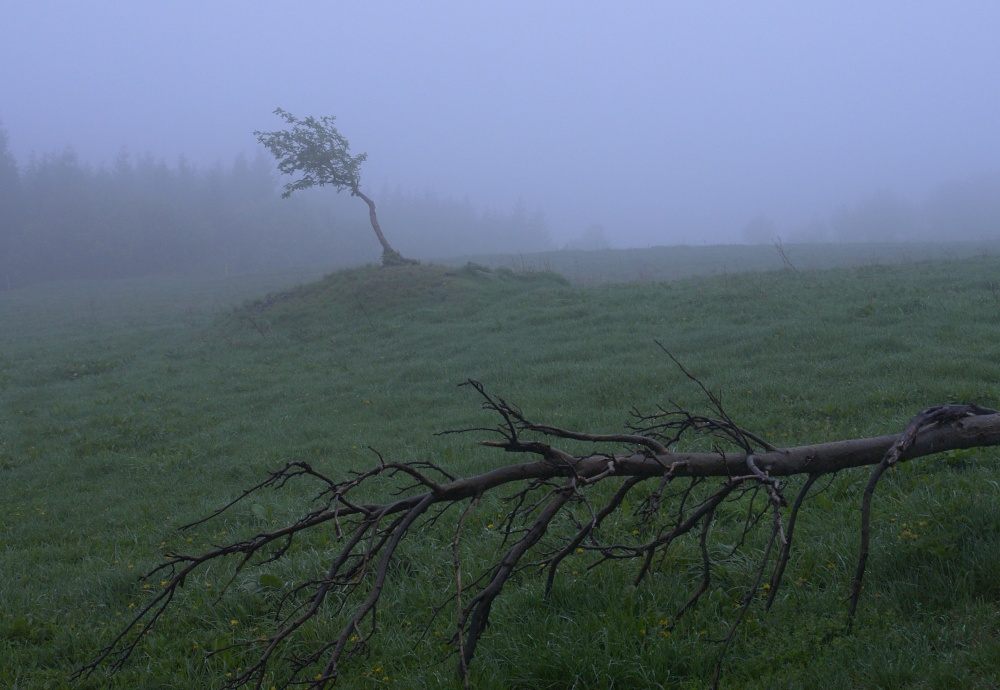 _DSC2839 ořez